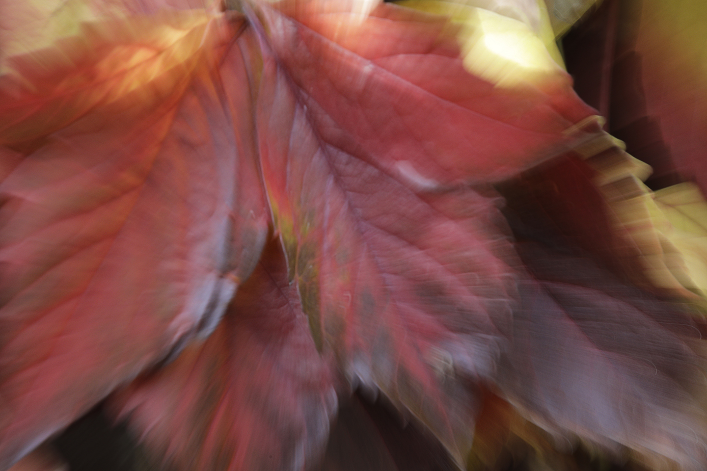 herbst-1440-960
